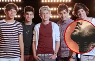Ex cantante de ONE DIRECTION anuncia concierto en PER�: Fecha y lugar del concierto AQU�