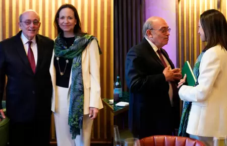 De Zela ratific� el apoyo de Per� por una transici�n democr�tica en Venezuela.