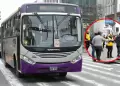 ATU eval�a extender ruta del Corredor Morado: �Cu�les ser�an sus nuevos paraderos inicial y final?
