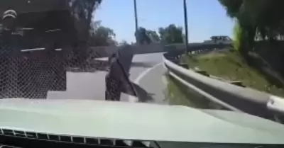 Delincuente termina atropellado tras intentar robar un auto