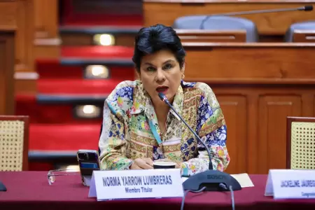 Congresista indica que existen gastos innecesarios.