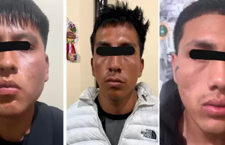 Polic�as capturan a cuatro miembros de la organizaci�n criminal 'Los Pulpos'.