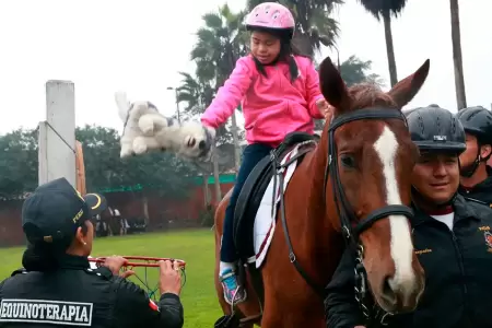 Polic�a Montada realizar� jornada gratuita de equinoterapia.