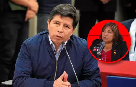 Lourdes Jes�s asegur� que partido impulsar�a indulto del exmandatario.