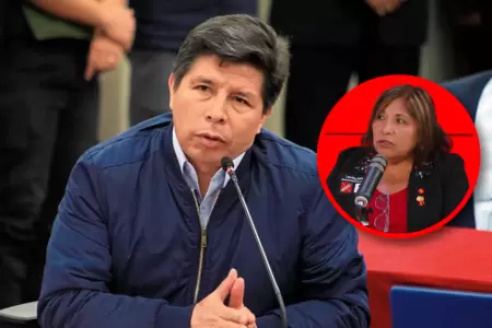 Lourdes Jes�s asegur� que partido impulsar�a indulto del exmandatario.