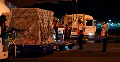 Llegaron al Per� m�s de 500 000 dosis de vacunas contra la influenza.