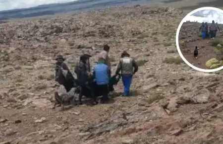 Adulto mayor muere junto a su mascota y alpacas en Ayacucho