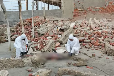 Delfines fueron hallados sin vida en playa de Col�n