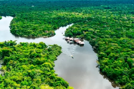Nueva planta prehist�rica descubierta en la selva de Per�.