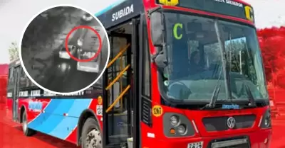 Empresa 'El R�pido' suspende servicios desde este lunes 16 de febrero