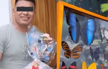 Asesinan al 'Rey de las mariposas' en Tingo Mar�a por 30 mil soles