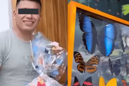 Asesinan al 'Rey de las mariposas' en Tingo Mar�a por 30 mil soles