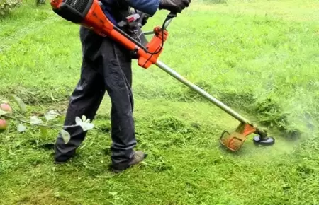 Satipo: Agricultora muere al ser impactada por cuchilla despedida.