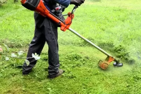 Satipo: Agricultora muere al ser impactada por cuchilla despedida.