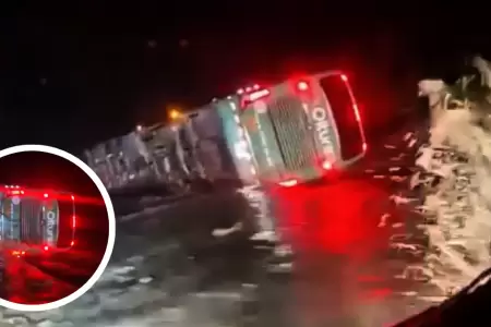 Bus de empresa Oltursa se volc�