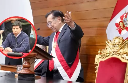 Solicitar�n indulto presidencial para Pedro Castillo