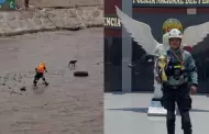 Polic�a desapareci� en el r�o R�mac tras ser arrastrado por el caudal al intentar rescatar a un perrito atrapado