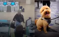 �Indignante abandono en Las Vegas! Mujer deja a su perro en aeropuerto tras negarle vuelo por falta de documentaci�n