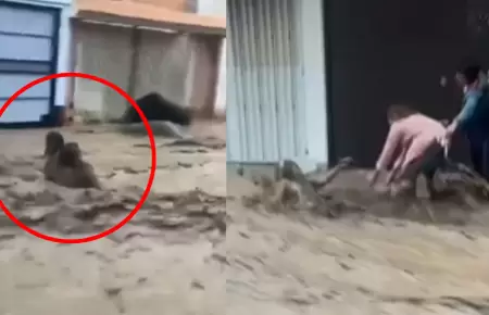 Anciana es arrastrada por huaico al tratar de salvar a una ni�a en Arequipa.