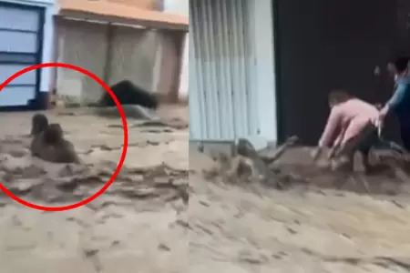 Anciana es arrastrada por huaico al tratar de salvar a una ni�a en Arequipa.