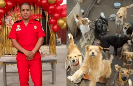 Albergue municipal de mascotas llevar� el nombre de valeroso rescatista Patrick