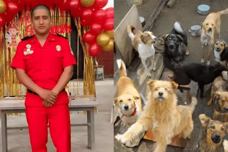 Albergue municipal de mascotas llevar� el nombre de valeroso rescatista Patrick