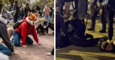 Cinco detenidos tras reuni�n de 'therians' en Barcelona