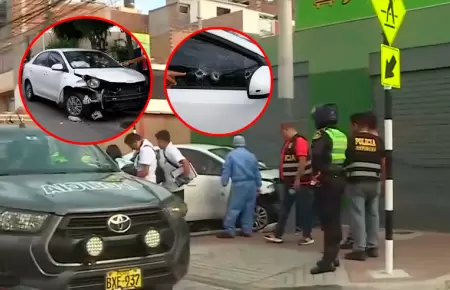 El sujeto habr�a recibido al menos 7 impactos mortales, por parte de un veh�culo