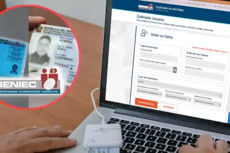 Duplicado de DNI azul a electr�nico desde casa