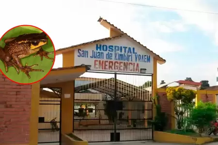 Cuatro de los hijos, junto a sus padres a�n permanecen bajo observaci�n.