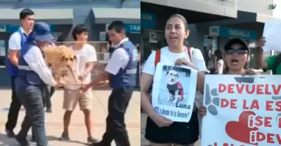 Organizaci�n denunci� desconocer el paradero de los canes que cuidaban en la est