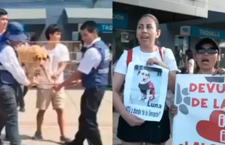 Organizaci�n denunci� desconocer el paradero de los canes que cuidaban en la est