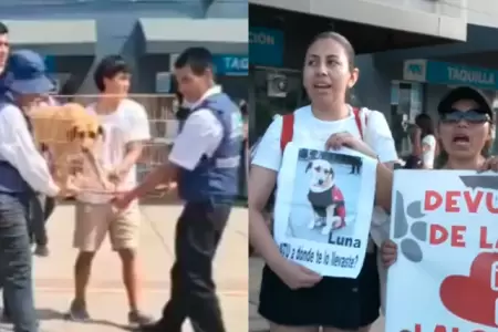 Organizaci�n denunci� desconocer el paradero de los canes que cuidaban en la est