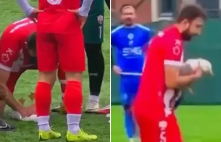 Futbolista aplica RCP a una gaviota