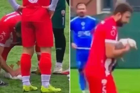 Futbolista aplica RCP a una gaviota