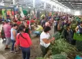 Midagri descarta desabastecimiento de alimentos en Lima pese a lluvias al sur del pa�s