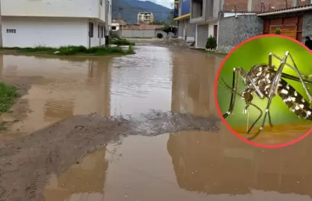 Claves para prevenir picaduras y reducir el riesgo de dengue