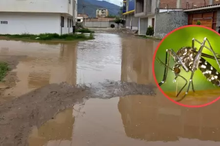 Claves para prevenir picaduras y reducir el riesgo de dengue