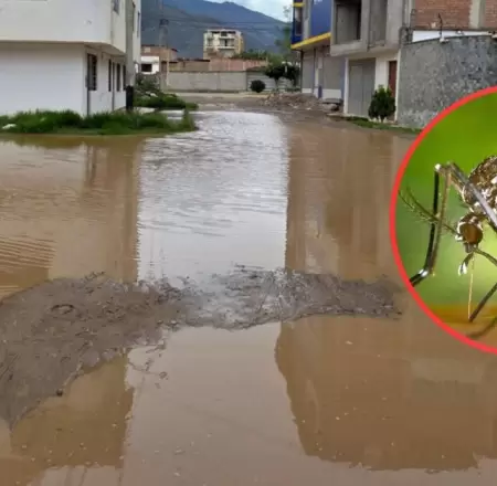 Claves para prevenir picaduras y reducir el riesgo de dengue