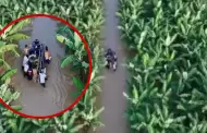 Tumbes: Rescatan a cuatro ni�os atrapados por crecida del r�o Zarumilla ante intensas lluvias