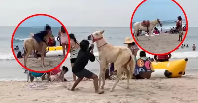 La madre sin poder hacer movimiento para defender a su potrillo.