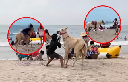 La madre sin poder hacer movimiento para defender a su potrillo.