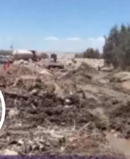 Reportan tr�nsito lento en km 337 de Panamericana Sur