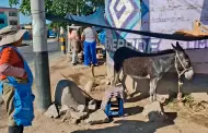Tacna: Intervienen a ciudadana por vender leche de burra en la v�a p�blica pese a prohibici�n municipal