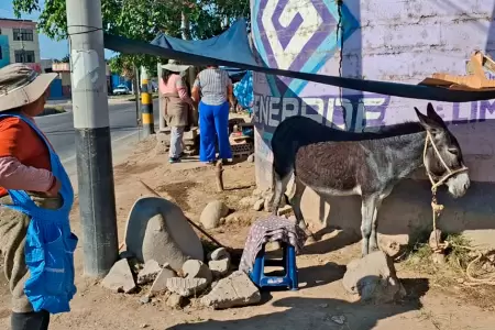 Intervienen a ciudadana por vender leche de burra pese a prohibici�n municipal.