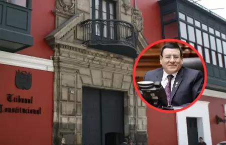 TC declara constitucional 'Ley Soto'