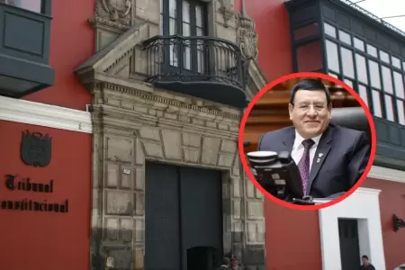 TC declara constitucional 'Ley Soto'