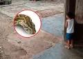 �Serpiente casi ataca a ni�o!: Atrapan a boa de 2 metros segundos antes de una tragedia en Iquitos