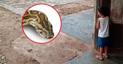 El menor fue auxiliado gracias al pedido de ayuda de su madre.