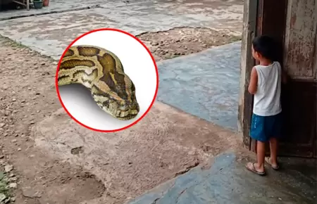 El menor fue auxiliado gracias al pedido de ayuda de su madre.